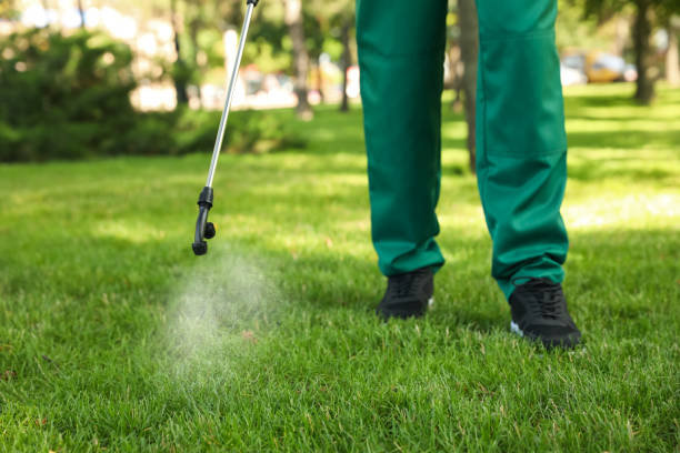 Best Mosquito Control Services  in Le Center, MN