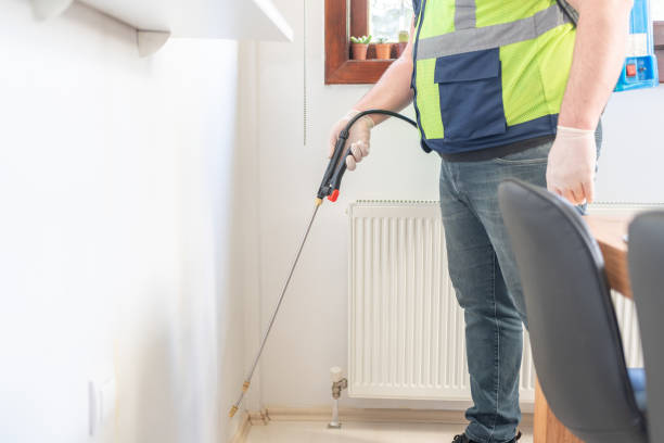 Best Ant Control Services  in Le Center, MN