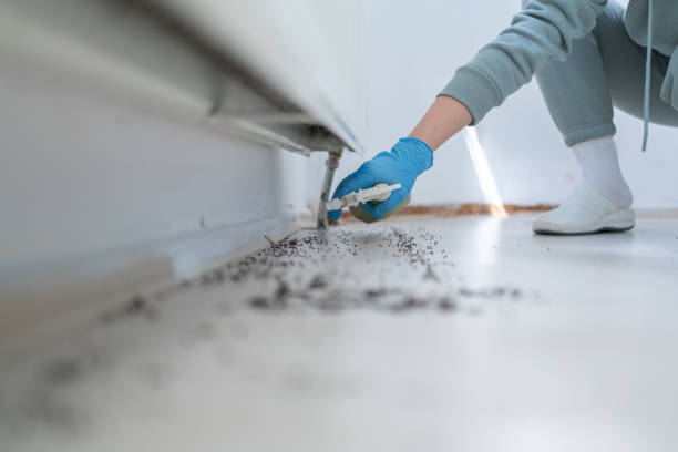 Best Residential Pest Control  in Le Center, MN